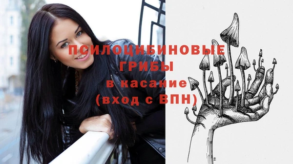 СК Арсеньев
