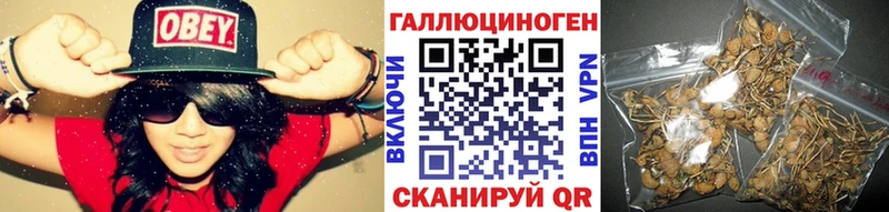 Псилоцибиновые грибы Psilocybine cubensis  KRAKEN зеркало  Лермонтов  купить наркоту 
